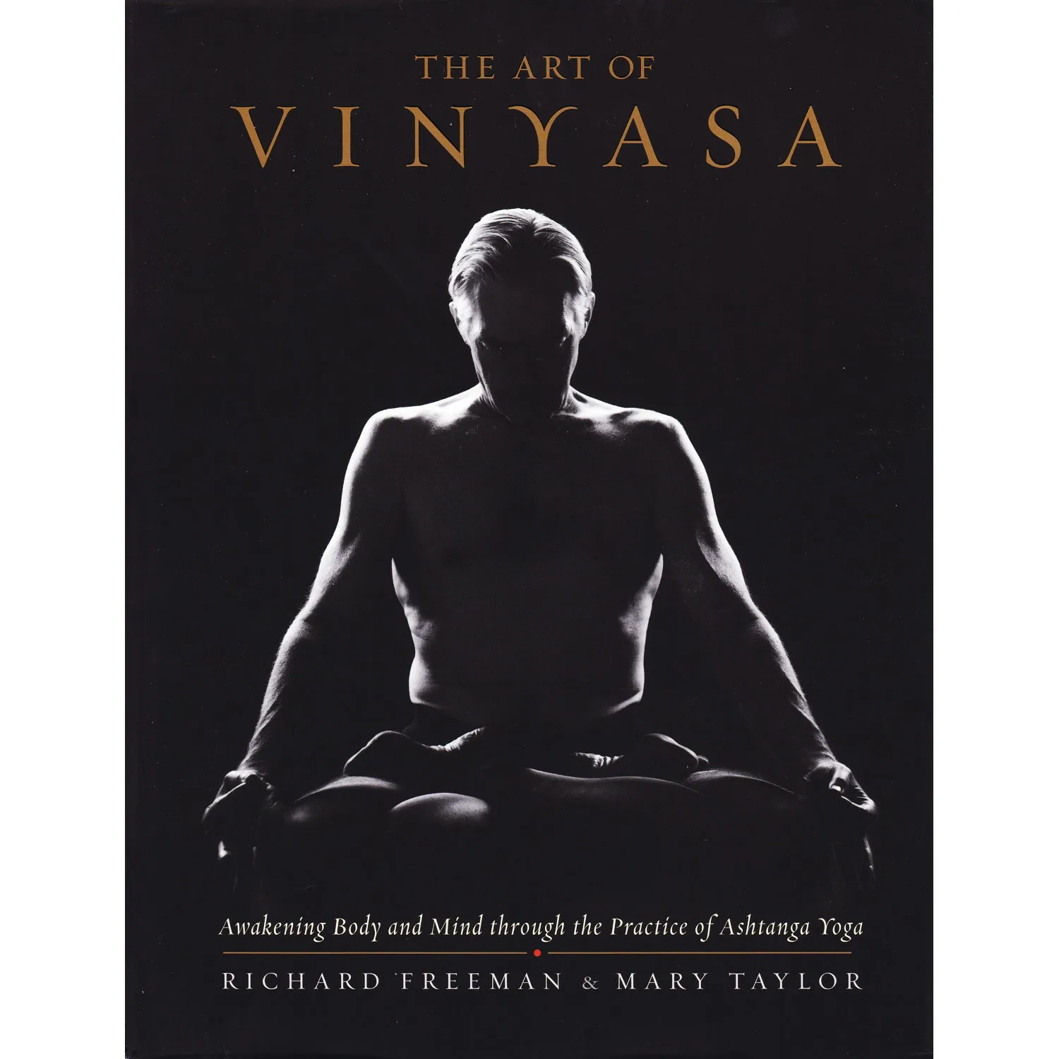 The Art of Vinyasa cover